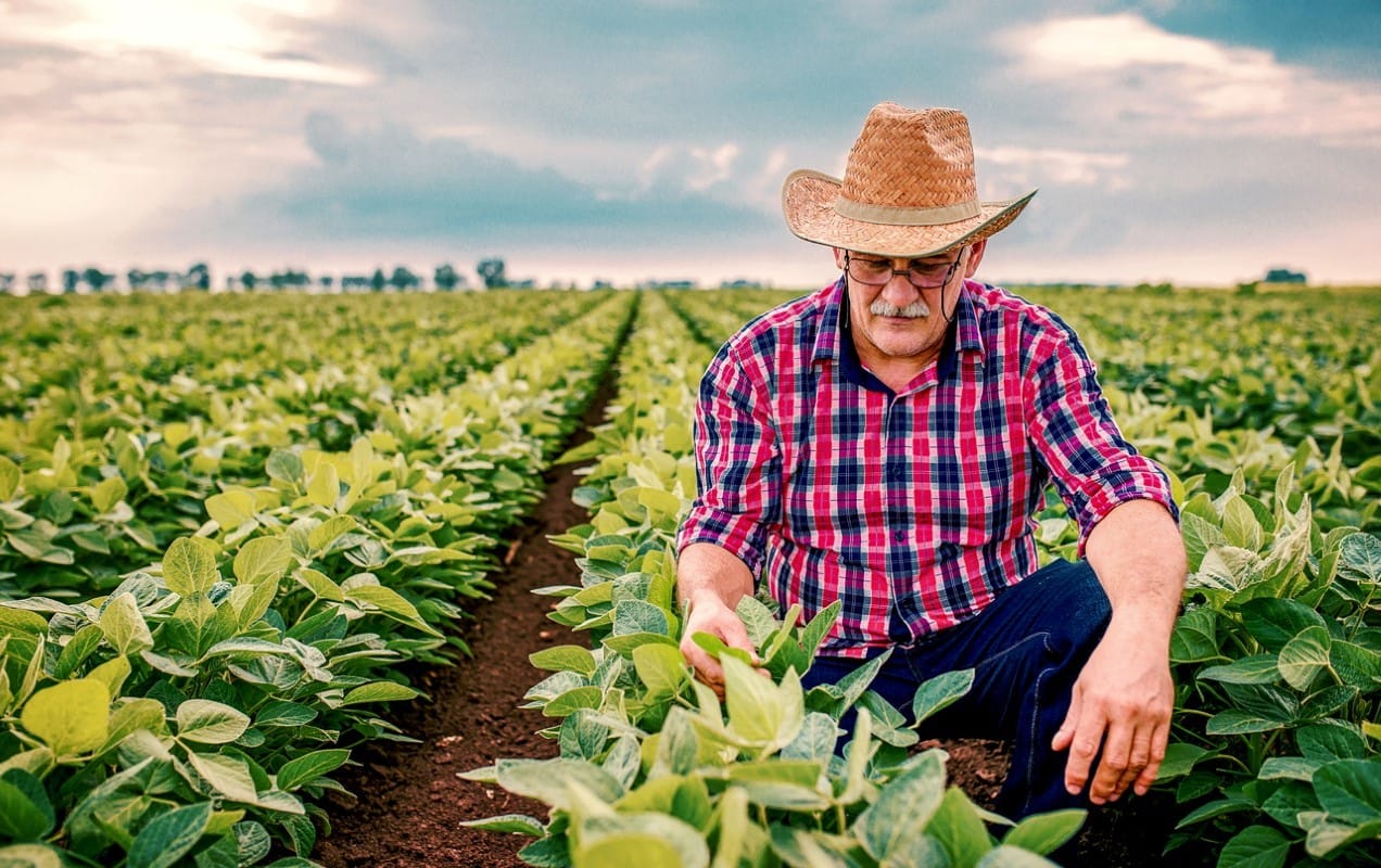 Enhancing Crop Protection: The Effectiveness of The BurrowRx Carbon Monoxide Sprayer for Farmers