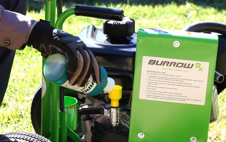 Smoke Oil: The Small Add-On That Makes BurrowRx a Big Money-Saver