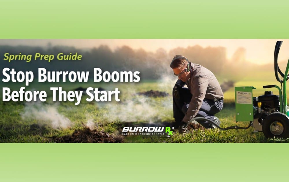Spring Surge: Stop Burrow Booms Before They Start